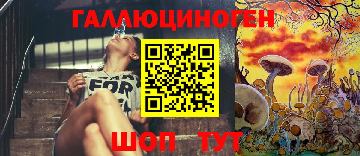 Реутов  Галлюциногенные грибы MAGIC MUSHROOMS  Вход с VPN 