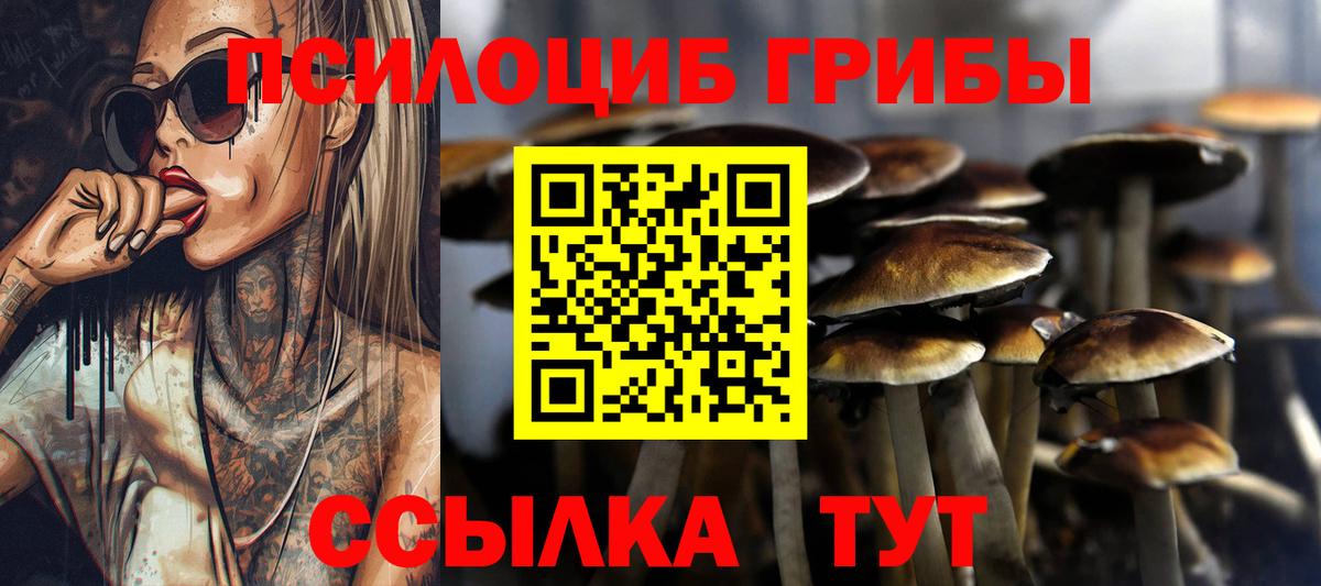 Псилоцибиновые грибы Magic Shrooms Реутов